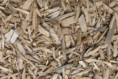 biomass boilers Leaton